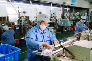 江蘇歐凱把握市場脈搏，深耕短保食品企業咨詢新藍海