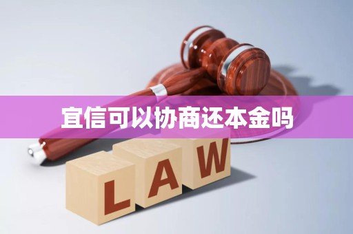 宜信貸款能否協商償還本金？—— 一份法律與實務角度的分析